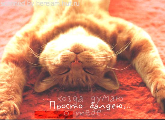 кот лежит - балдеет. Надпись: просто балдею, когда думаю о тебе...